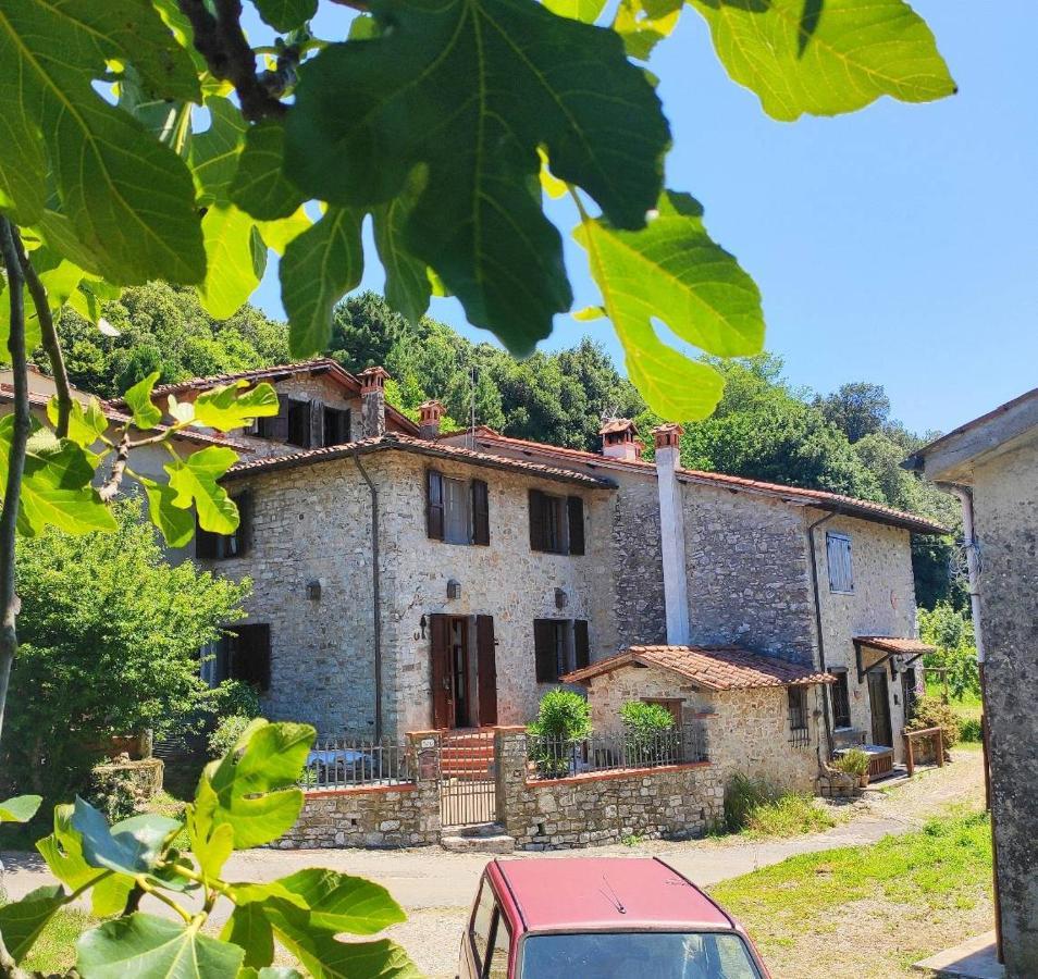Cara House Tuscany - Zona Lucca Chiatri Luaran gambar